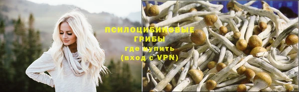 хмурый Остров