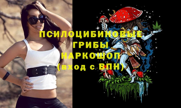 бутират Осташков