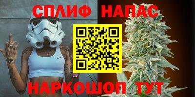 ПСИЛОЦИБИНОВЫЕ ГРИБЫ Гагарин