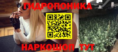 прущие грибы Гай