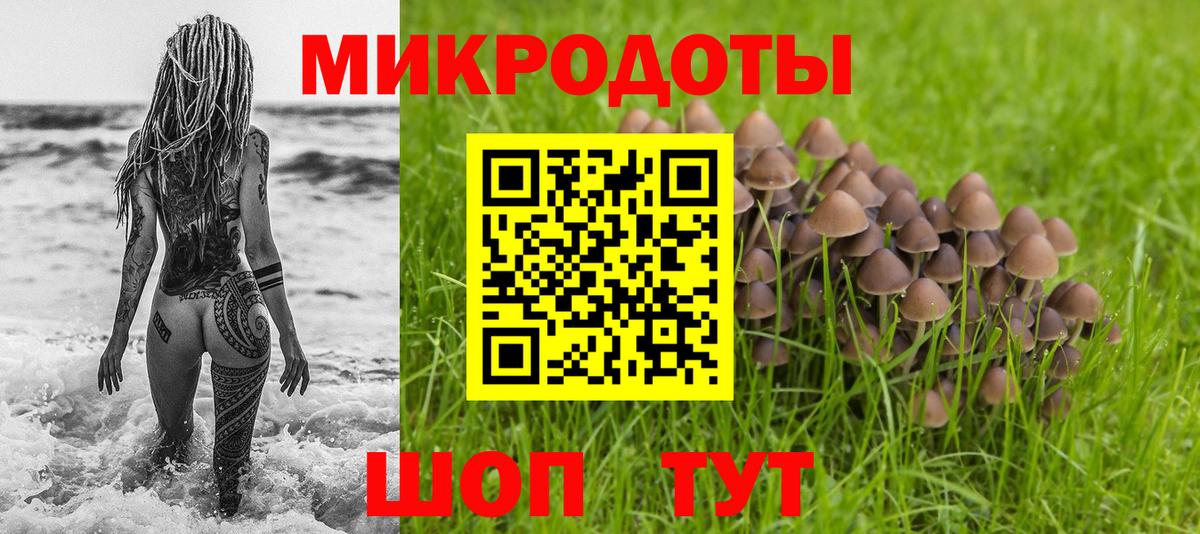 Псилоцибиновые грибы Cubensis Кировск