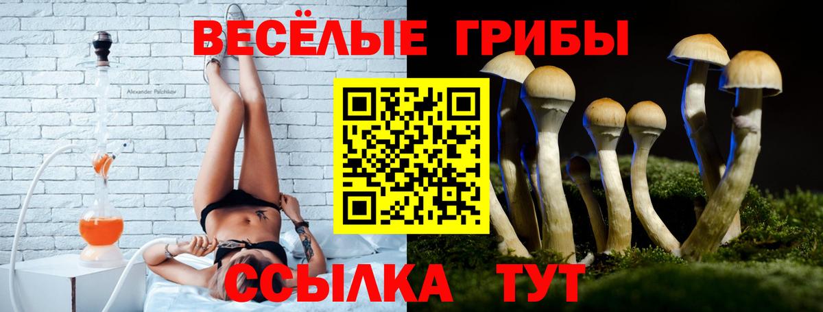 Псилоцибиновые грибы прущие грибы  Галлюциногенные грибы мицелий  Кировск 