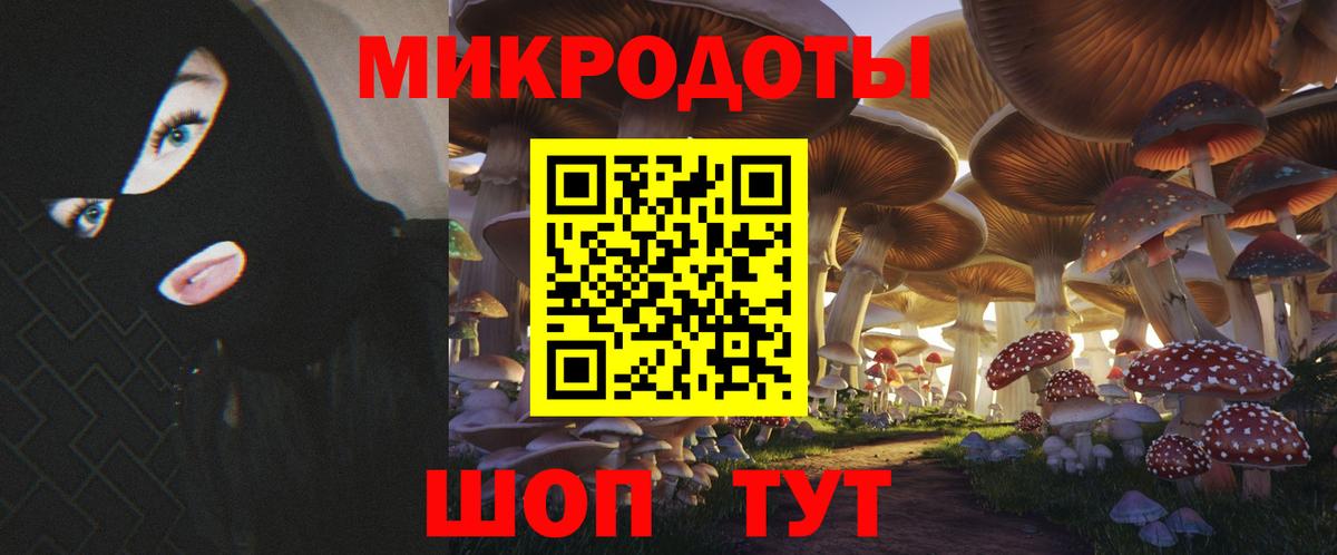 Псилоцибиновые грибы прущие грибы  Вход с VPN  Кировск  Псилоцибиновые грибы мухоморы 