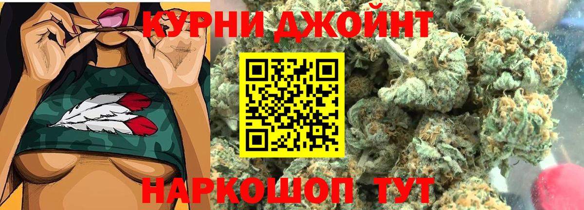 МАРИХУАНА сатива Кировск