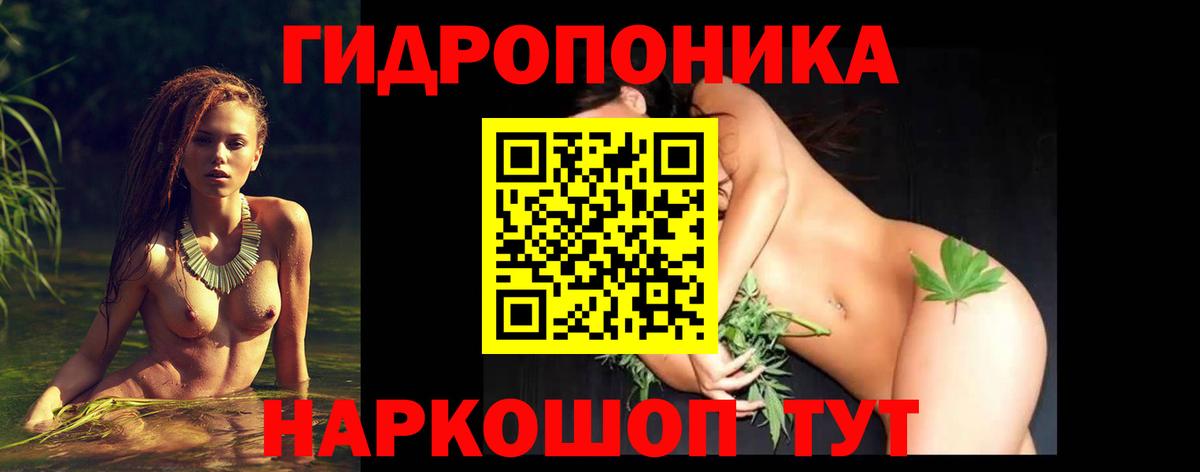 Бошки Шишки марихуана Кировск